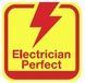 Пассатижи 160 мм Professional electric Wiha 26705 26705 фото 6